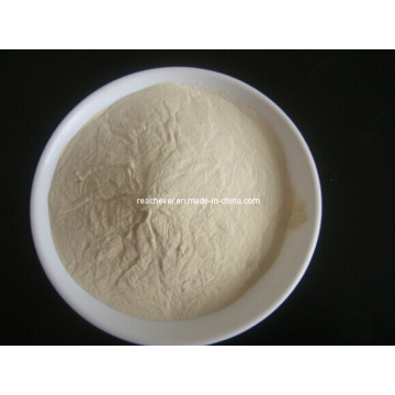 (Chitosan) - Chitosan de polymère naturel